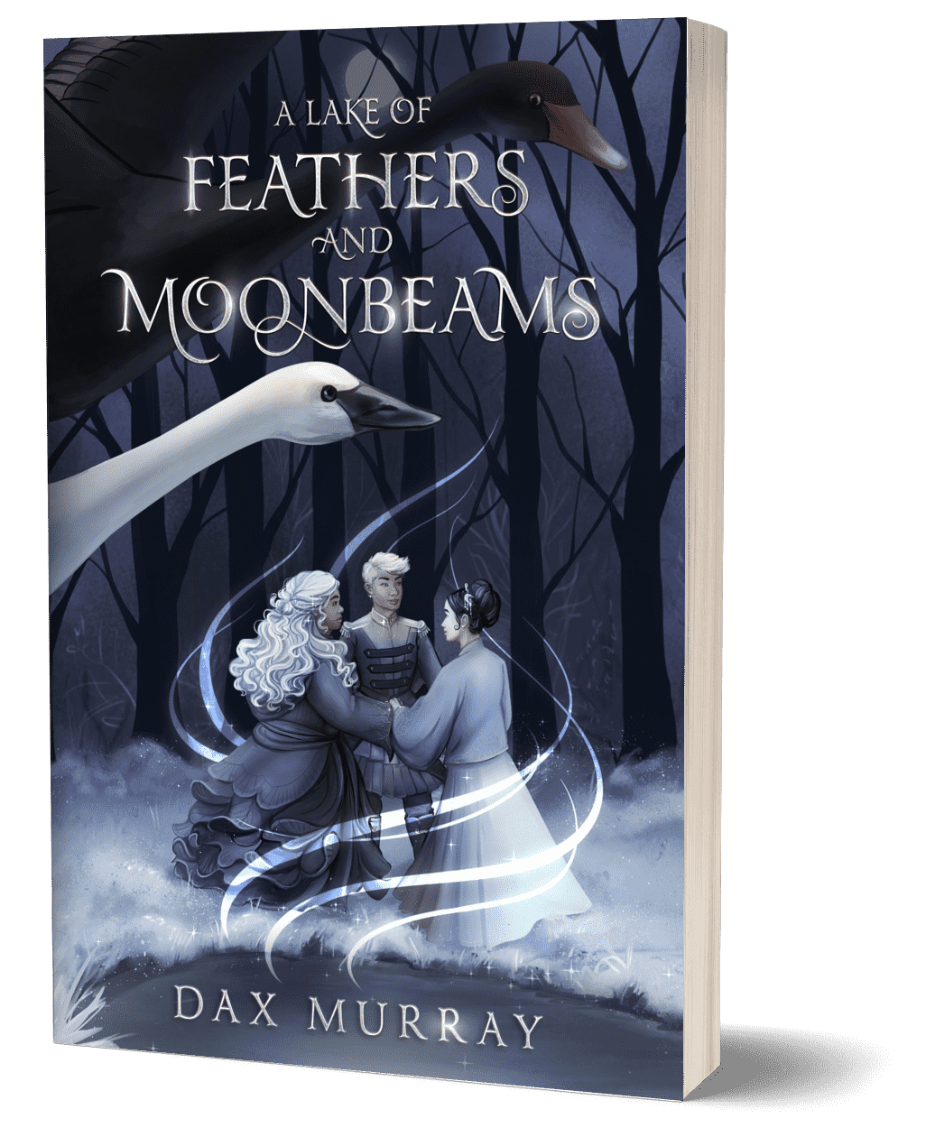 A Lake of Feathers and Moonbeams (Paperback)